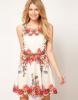 Oasis Placement Floral Dress