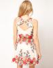 Oasis Placement Floral Dress
