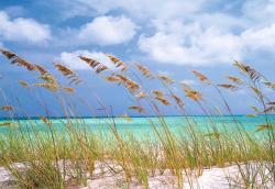 Ocean Breeze