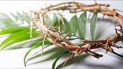 Palm Sanday DEAR FRIENDS DEAR BRUDERS MASS MEDIA+WORLD GLOBAL PIOPLE...