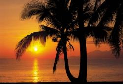 Palmy Beach Sunrise