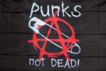 Punk`s Not Dead (булавка + logo)