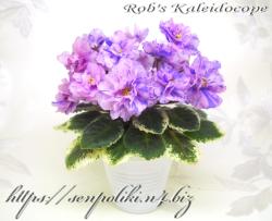 Rob's Kaleidoscope (R. Robinson)