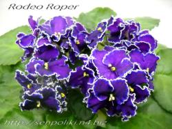 Rodeo Roper (L.Munk/ J.Munk)