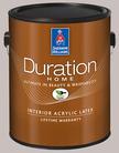 Sherwin Williams Duration Home (3.78)
