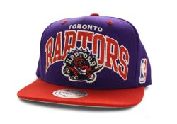 Toronto Raptors