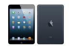 iPad mini 32 Gb wi-fi