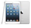 iPad mini 64 Gb wi-fi