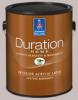 Sherwin Williams Duration Home (3.78)