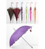 зонты