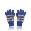 Snowboarder Gloves Перчатки «Снежная прогулка»
