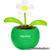 Flip-Flap Цветок в зеленом шаре
