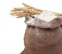 Мука пшеничная ГОСТ Р 52189-2003 Первый сорт (хлебопекарная) в мешках...