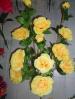 Роза дерево - 3 -40,00 грн.