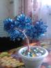 Голубое дерево