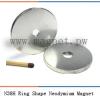N38H Ring Shape Neodymium Magnet
