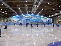 Ледовые арены