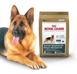 Корм для Собак Royal Canin для породы немецкая овчарка 12кг