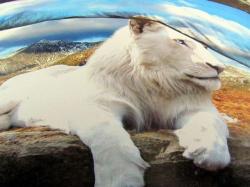 Комплект постельного белья «Белый лев» 1,5-сп, 3Д сатин