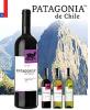 Чилийское вино "Patagonia de Chile"
