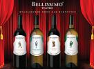 Итальянское вино "Bellissimo Teatro"