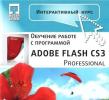 Интерактивный курс. Adobe Flash CS3 Professional