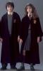 Приключения Гарри Поттера и Гермионы Грейнджер (2...