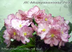 ЛЕ-Марципановая Роза (Е.Лебецкая)