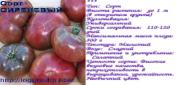 томат СИРЕНЕВЫЙ (15 семян)