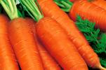 морковь "Мергеланус" 0,2 г