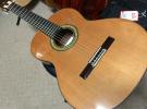 Alhambra Linea Profesional - Cedar Top - Classical Guitar