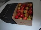 Польские яблоки урожая 2012 г от производителя