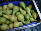Итальянские яблоки и груши урожая 2012 г от производителя