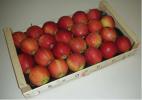 Итальянские яблоки и груши урожая 2012 г от производителя