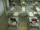 Продам: Продукция и услуги для хлебопредприятий от ООО 