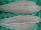 Pangasius (Basa) Fillet Well-trimmed