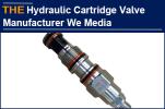 We media of AAK Hydraulic Cartridge Valve, Turkey customer who have...