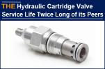 AAK Hydraulic Cartridge Valve is 20% more expensive, but its service...